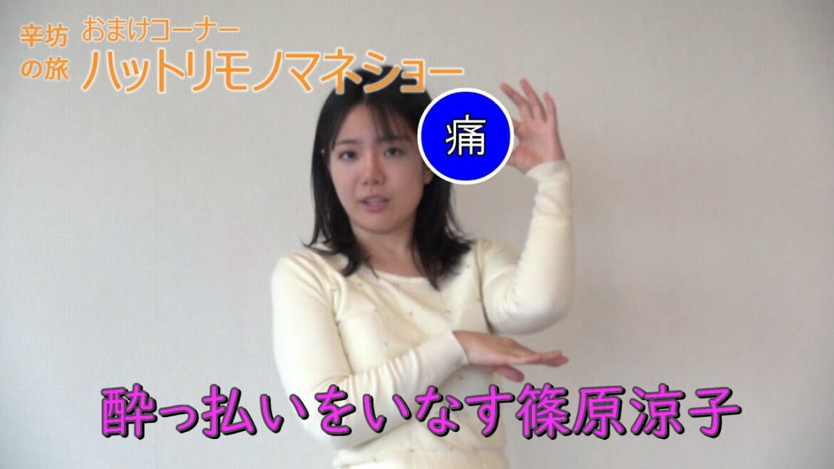 酔っ払いをいなす篠原涼子～辛坊治郎YouTube「辛坊の旅」おまけ ハットリものまねショー～