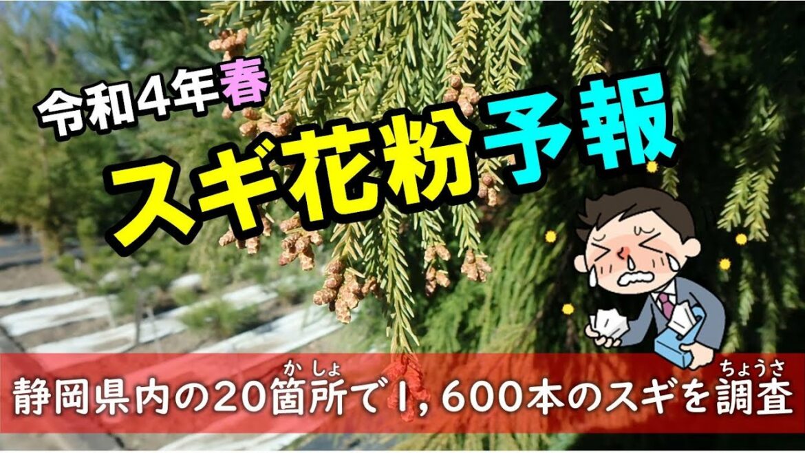 静岡県令和４年春のスギ花粉予報