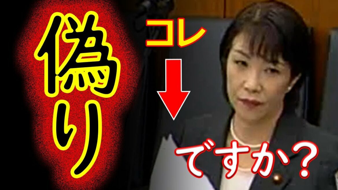 高市早苗、国会で『日本の名誉』を守るための質疑を・・・！