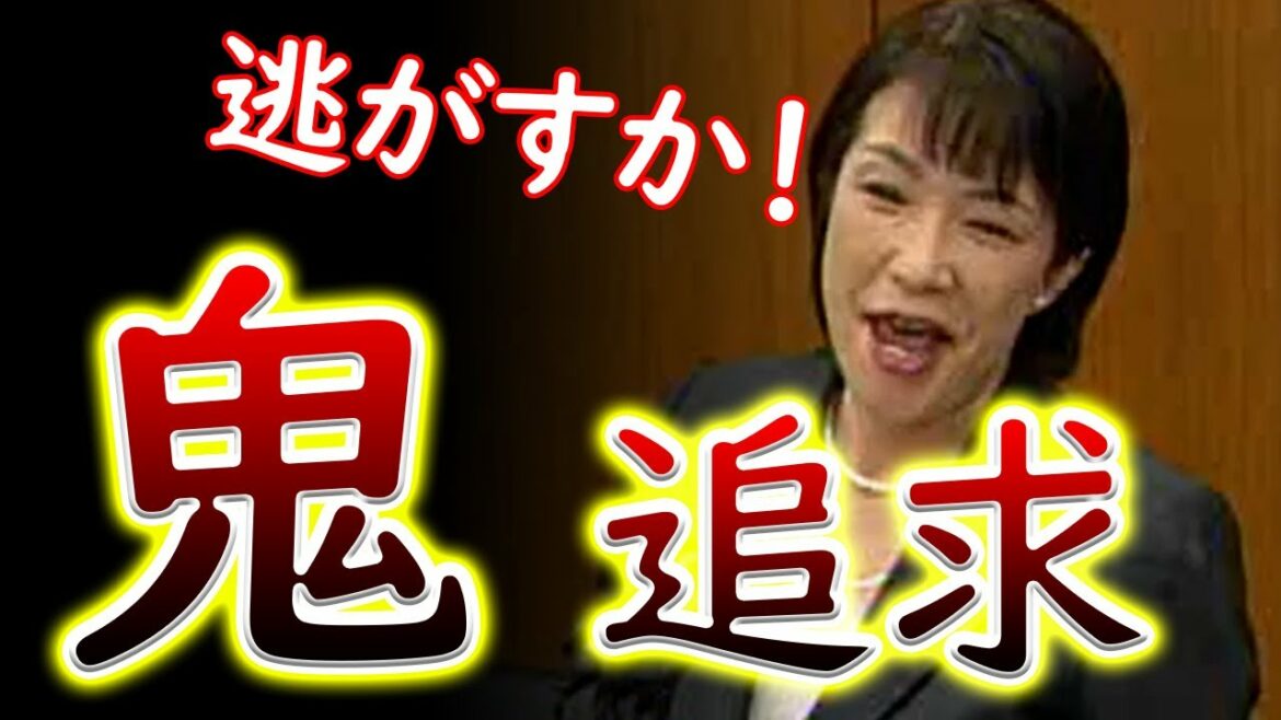 高市早苗の国会での「キレッキレの追及シーン」がヤバい・・・！