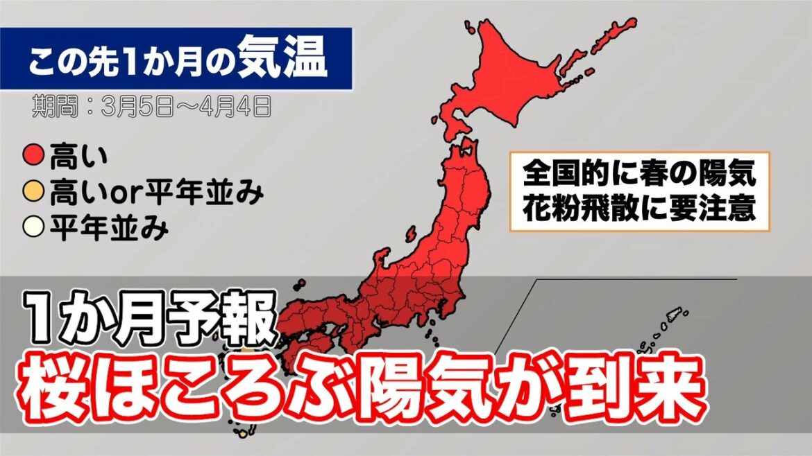 1か月予報　桜ほころぶ陽気が到来 花粉飛散に要注意