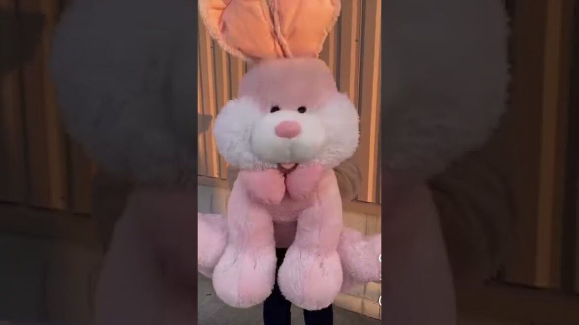 生田絵梨花そっくりさん現る②