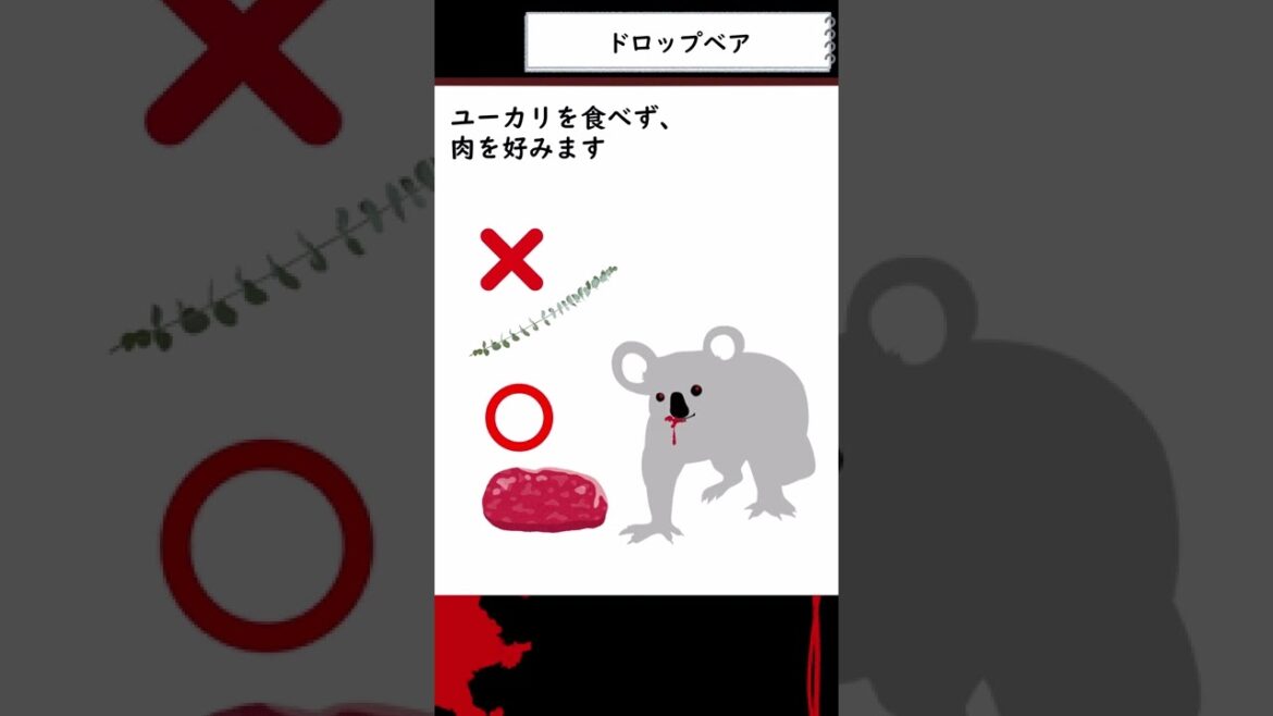 【都市伝説】Drop Bear (ドロップベア) 【UMA】 #shorts