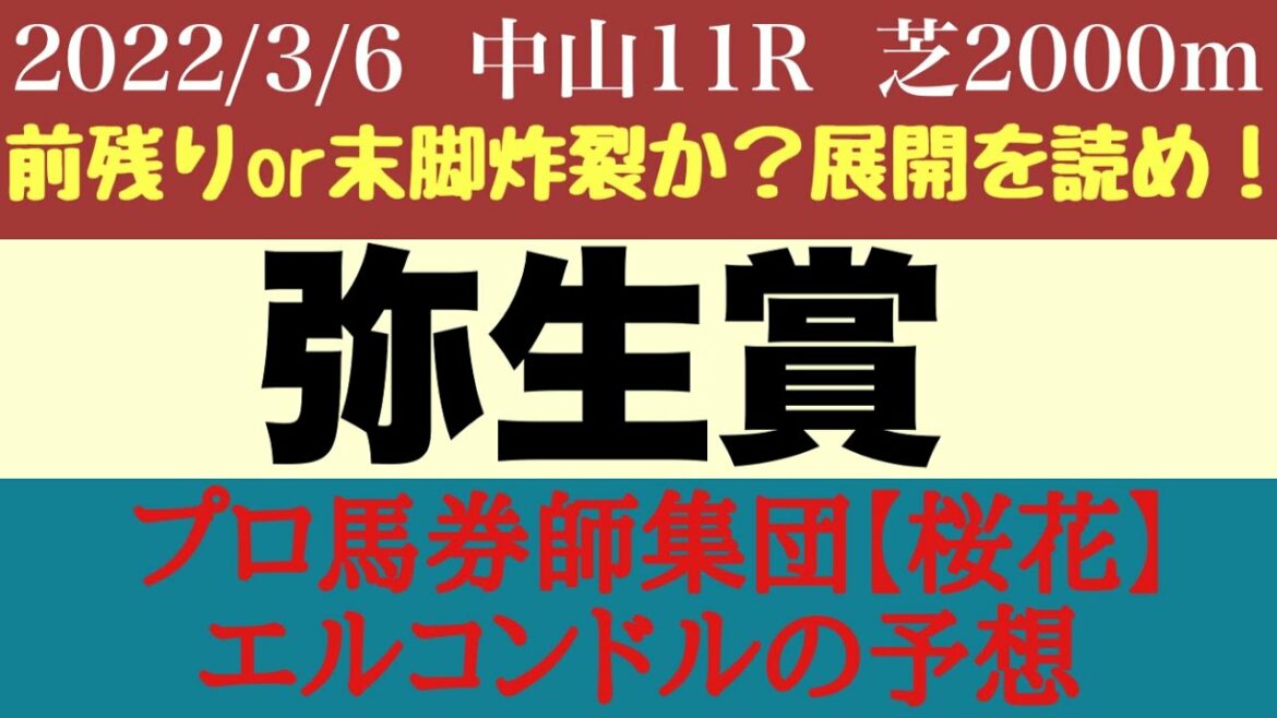 エルコンドル氏の弥生賞ディープインパクト記念2022予想！3着までに皐月賞優先出走権！3つの椅子をかけて好戦必至！！　プロ馬券師集団『桜花』