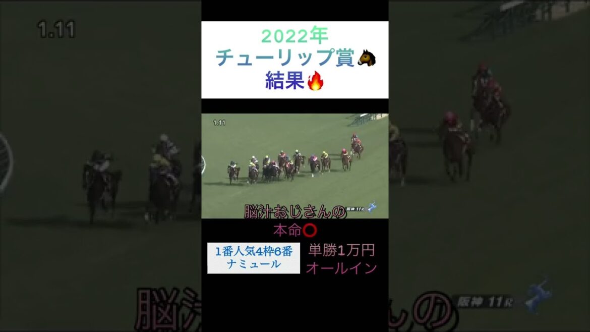 【2022年チューリップ賞結果🔥】ナミュール単勝狙い打ち成功😎【2022年JRA🐴全重賞チャレンジ🔥】 【2022年チューリップ賞結果🔥】ナミュール単勝狙い打ち成功😎【2022年JRA🐴全重賞チャレンジ🔥】