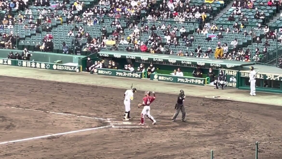 【最終打席も手応えあり】佐藤輝明選手 第4打席✨応援歌🏟22.3.4.阪神甲子園球場 @ﾌﾞﾘｰｽﾞｼｰﾄ