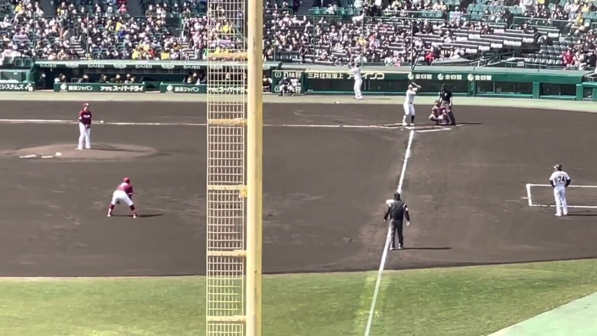 【第一打席】阪神 佐藤輝明選手 ✨登場曲〜応援歌ﾌﾙﾊﾞｰｼﾞｮﾝ🏟22.3.6.阪神甲子園球場@レフト外野席