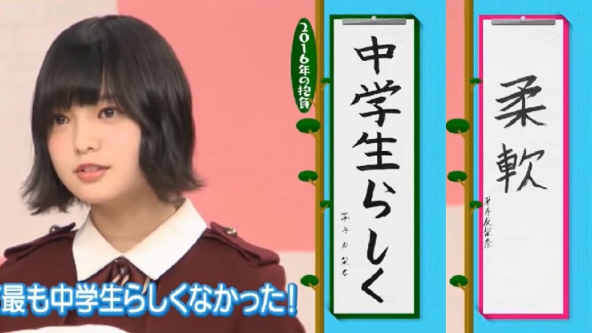 【欅坂46】平手友梨奈 2017年の抱負と反省「日本で最も中学生らしくなかった」【欅って、書けない？」