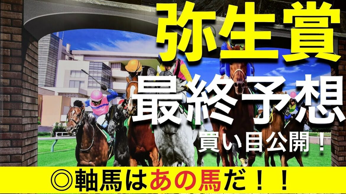 【弥生賞ディープインパクト記念2022】最終予想！買い目公開！ドウデュースに死角はあるのか？！　１１頭と小頭数だがどの馬も皐月賞の切符を取るチャンスのある難解戦！