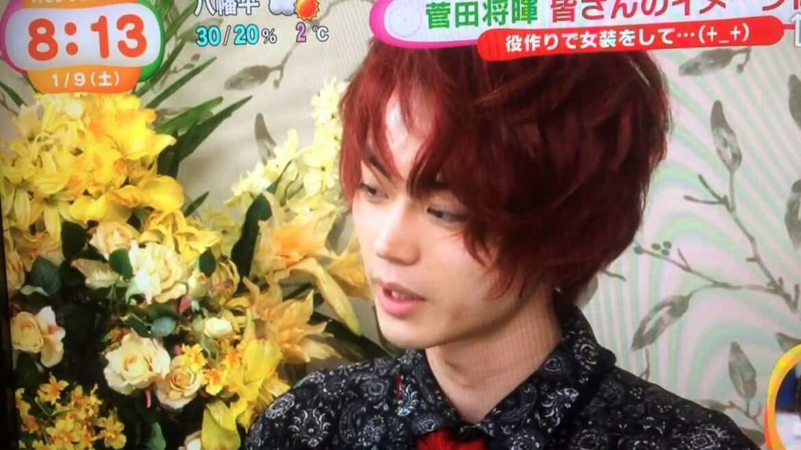 ①菅田将暉 2016.1.9 めざましどようび ハイ&ロー