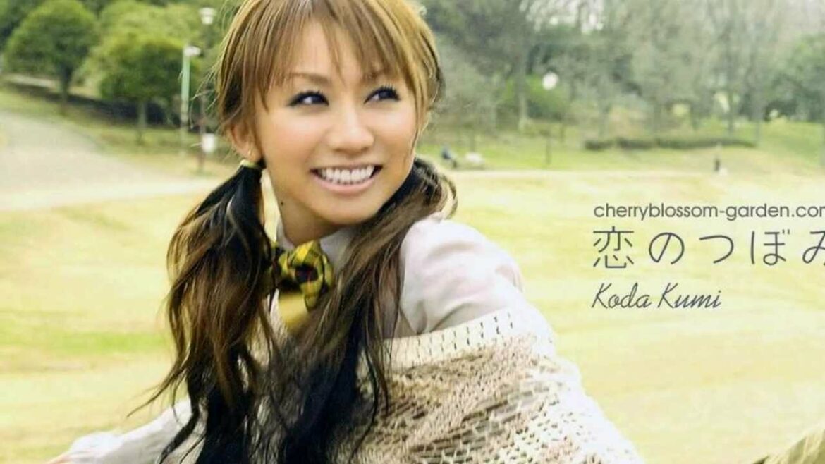 倖田來未 / Black Cherry