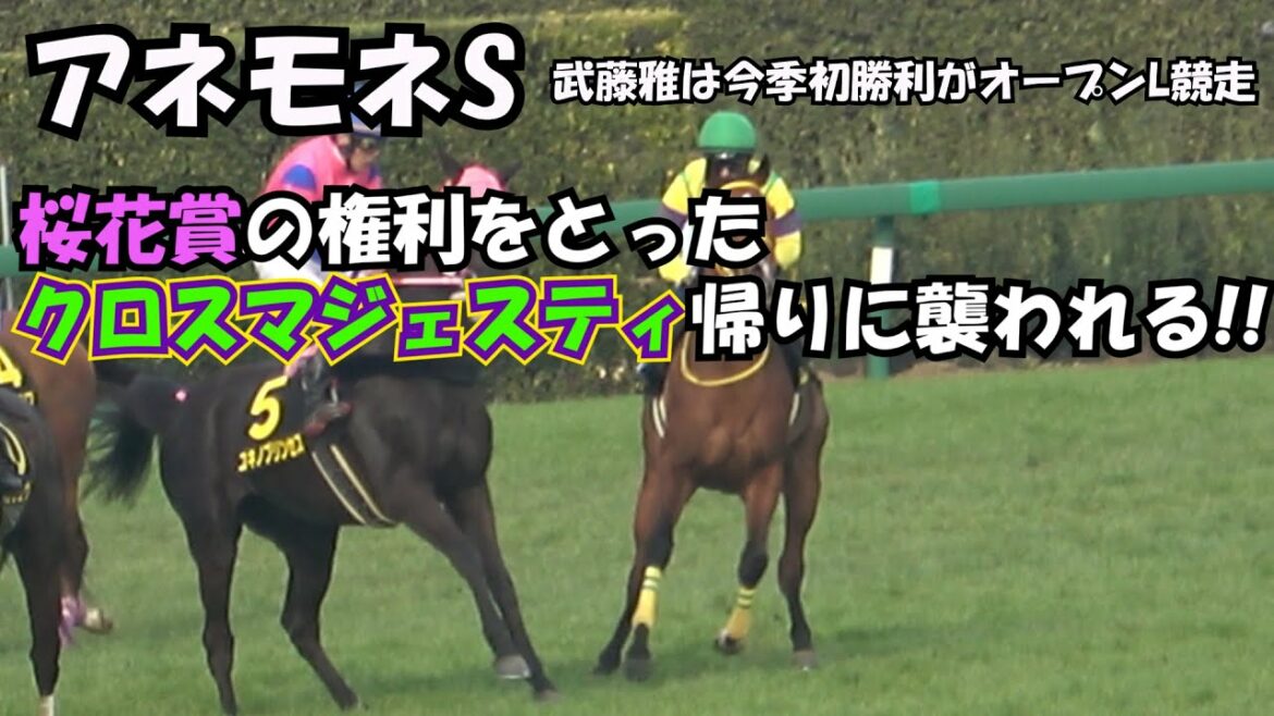 【桜花賞】2022 アネモネステークス (L) 桜花賞の権利をとった クロスマジェスティ 帰りに襲われる 現地映像