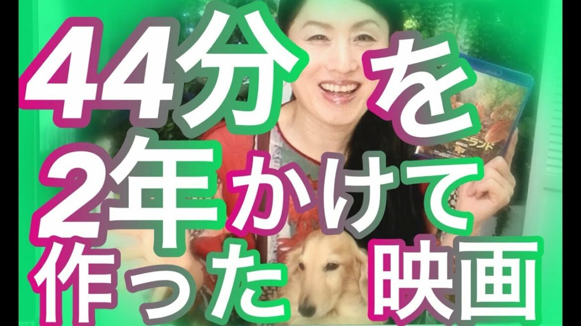 斎藤工ナレーション『小さな森はワンダーランド』2年の歳月44分に凝縮した映画ドキュメンタリーでありファンタタジーでもある最高の野生のストーリー！
