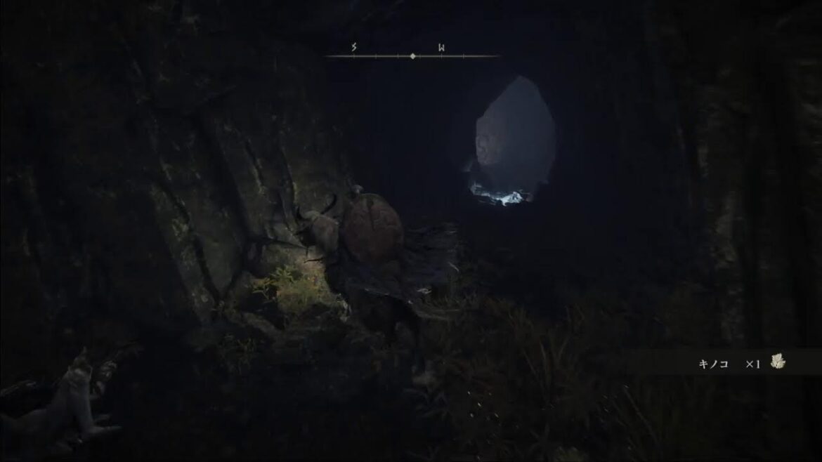 八房　ELDEN RING 初見プレイその13