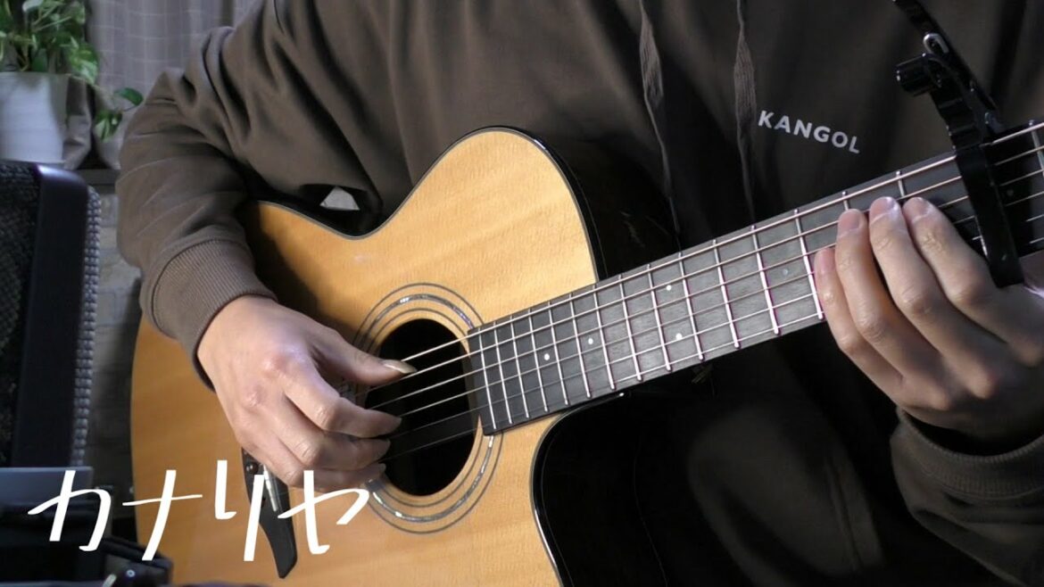 カナリヤ / 米津玄師  – fingerstyle guitar cover – カナリヤ / 米津玄師  - fingerstyle guitar cover -