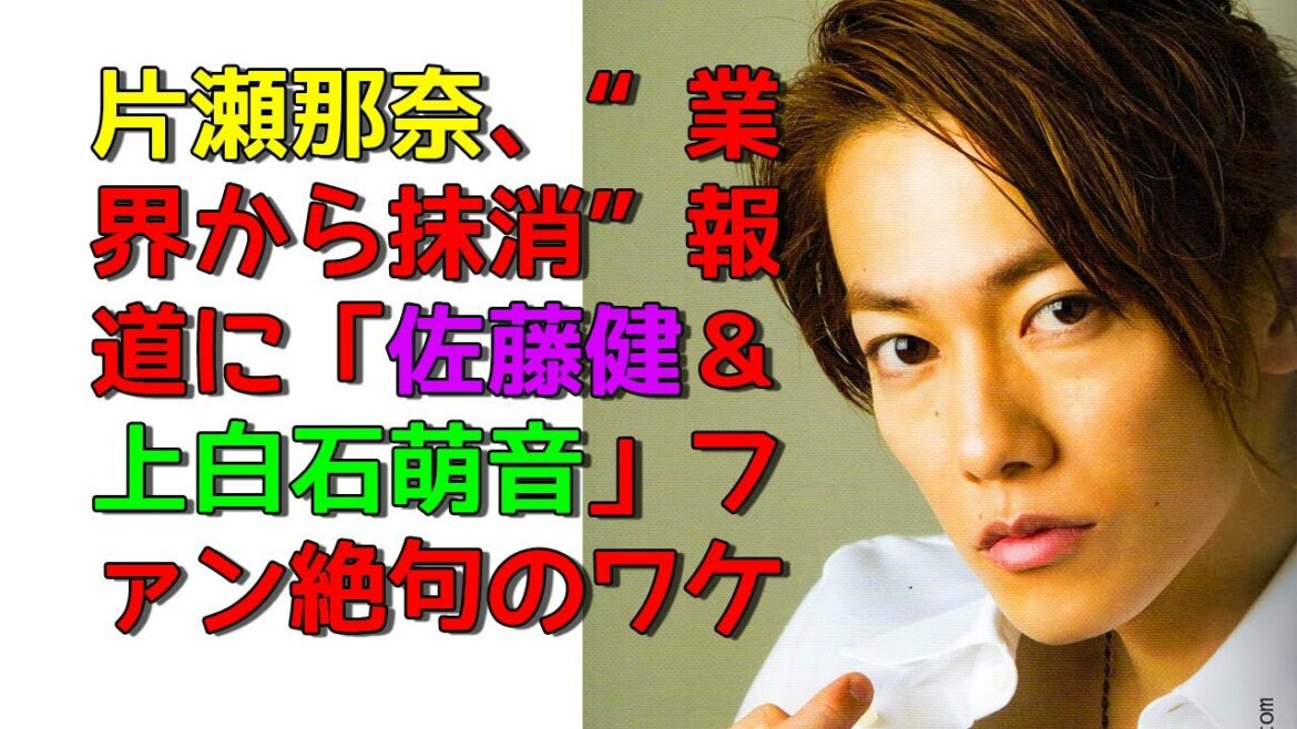 『佐藤健』片瀬那奈、“業界から抹消”報道に「佐藤健＆上白石萌音」ファン絶句のワケ『佐藤健のニュース』