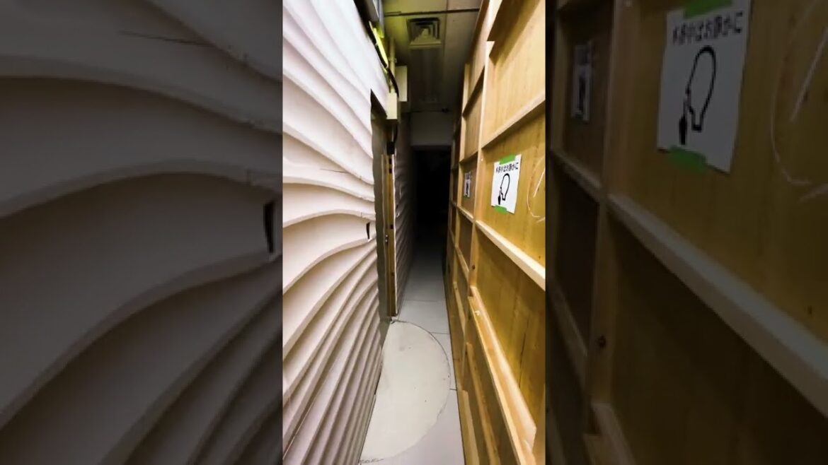 暗いとこ怖いの?【言霊荘×コワゾーコラボ】#shorts