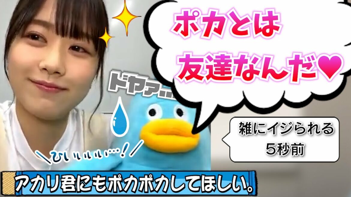 【バブみ】母性に目覚めた丹生ちゃん、ポカをメチャクチャにする【丹生明里・日向坂46】 【バブみ】母性に目覚めた丹生ちゃん、ポカをメチャクチャにする【丹生明里・日向坂46】