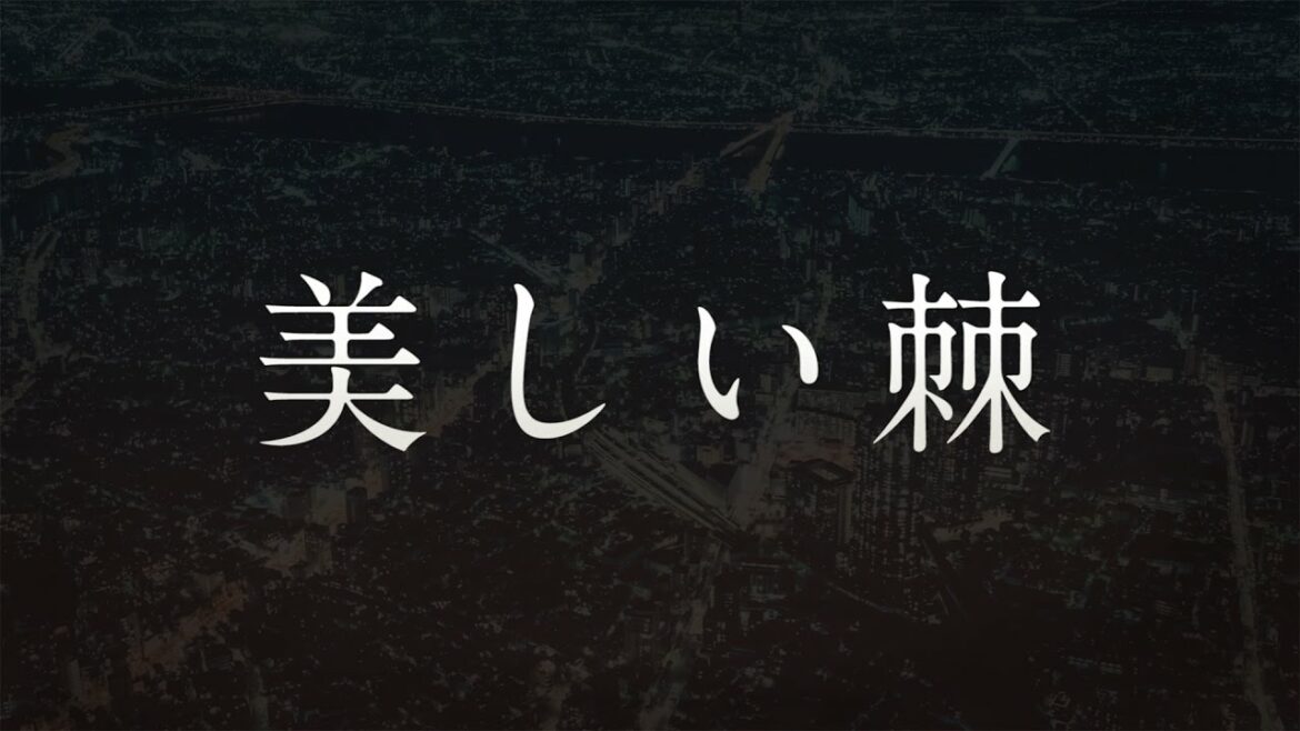 GLIM SPANKY/美しい棘(ドラマ「警視庁・捜査一課長 season2」主題歌) GLIM SPANKY/美しい棘(ドラマ「警視庁・捜査一課長 season2」主題歌)