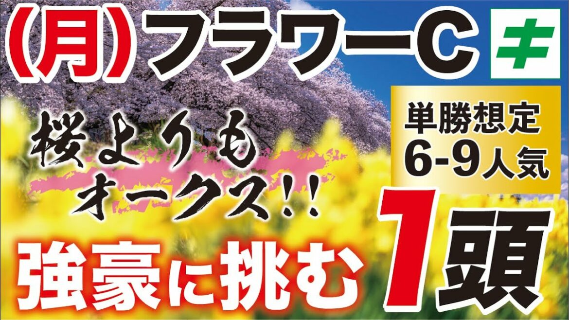 フラワーカップ 2022 【予想/穴馬】桜よりもオークス狙い！？強豪に挑む１頭の応援馬をご紹介！