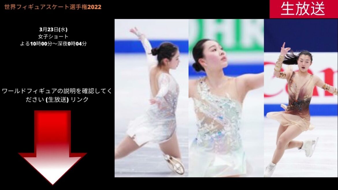 『今夜放送』 世界フィギュア2022 女子ショー 生放送 フジテレビ オンラインで見 世界フィギュアスケート選手権 3月23日(水) 『今夜放送』 世界フィギュア2022 女子ショー 生放送 フジテレビ オンラインで見 世界フィギュアスケート選手権 3月23日(水)