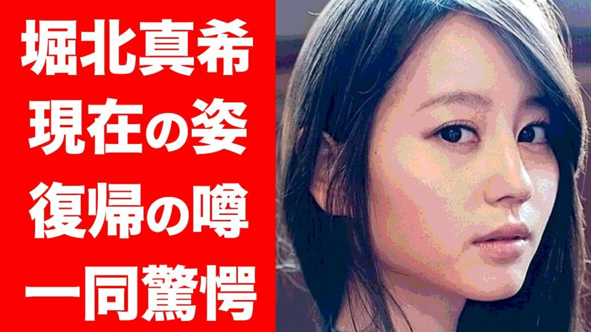 【衝撃】堀北真希の現在の姿に驚きを隠せない...！『野ブタ。をプロデュース』で人気を博した女優の引退後の夫・山本耕史との結婚生活が衝撃的すぎた！