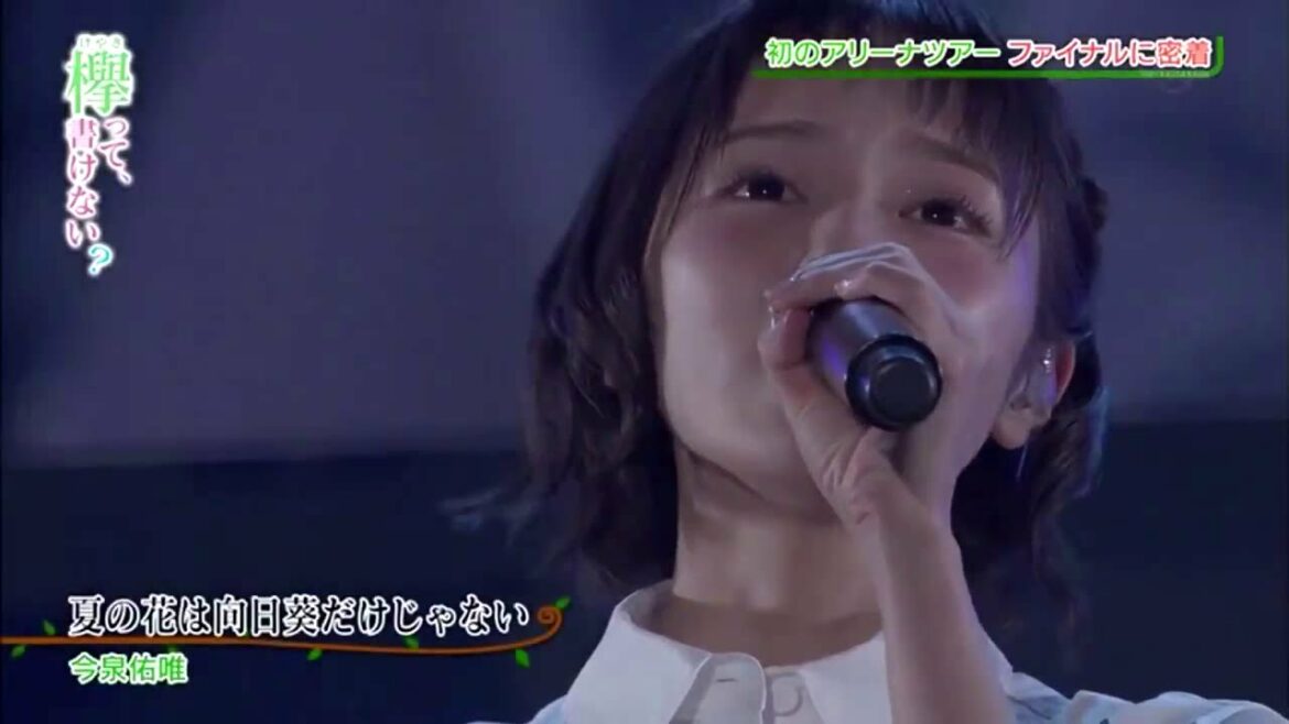 今泉佑唯　夏の花は向日葵だけじゃない