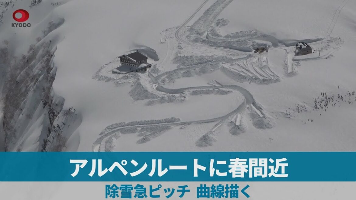 アルペンルートに春間近   除雪急ピッチ、曲線描く