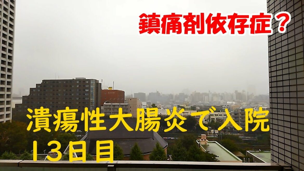 潰瘍性大腸炎で入院　13日目　鎮痛剤依存症？　2021/9/18