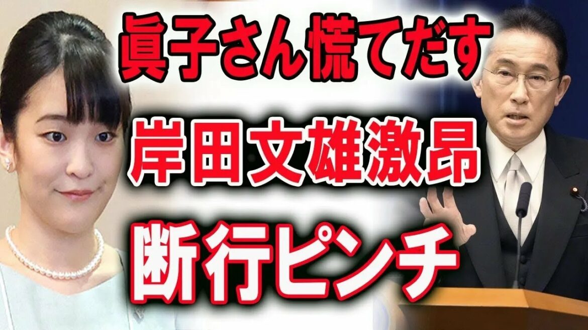 眞子さん慌てだす ! 岸田文雄激昂 … 断行ピンチ | JNews 247