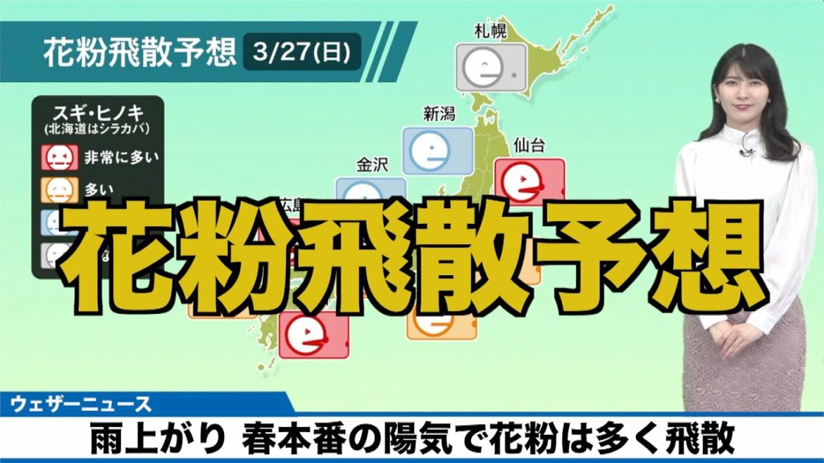 3月27日(日)の花粉飛散予想 春本番の陽気で花粉は多く飛散 3月27日(日)の花粉飛散予想 春本番の陽気で花粉は多く飛散
