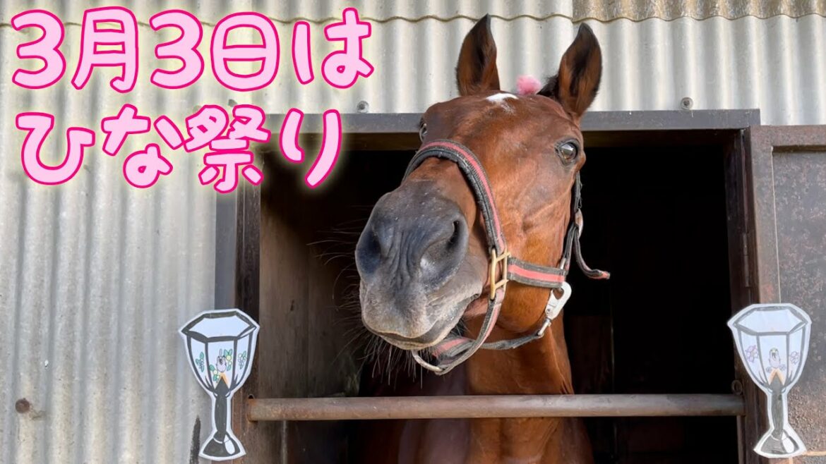 3月3日はひな祭り