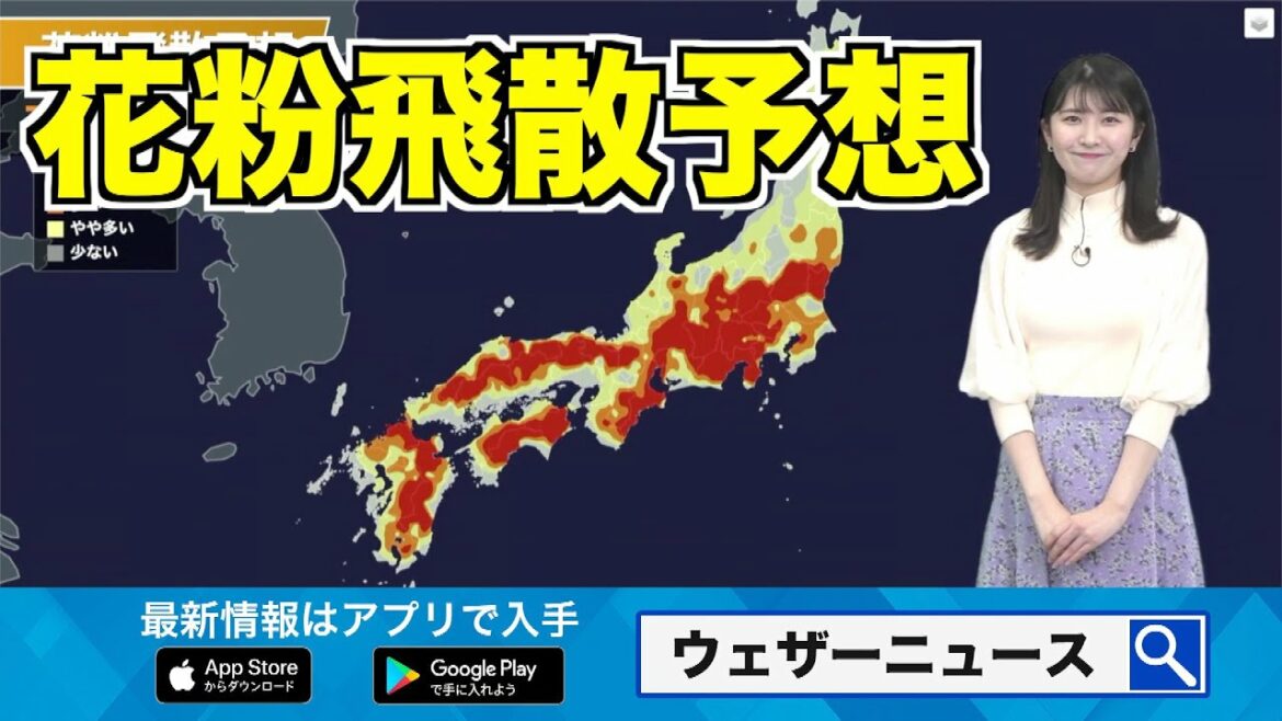 3月12日(土)の花粉飛散予想 関東以西では大量飛散に注意 3月12日(土)の花粉飛散予想 関東以西では大量飛散に注意