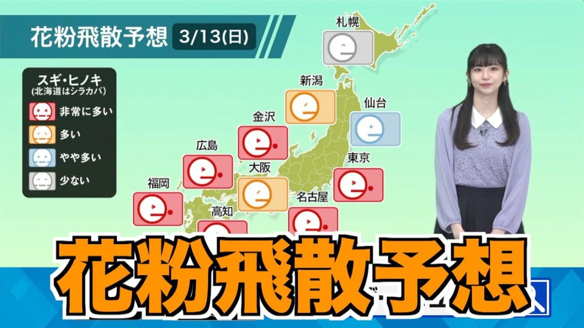 3月13日(日)の花粉飛散予想　関東以西では大量飛散に注意