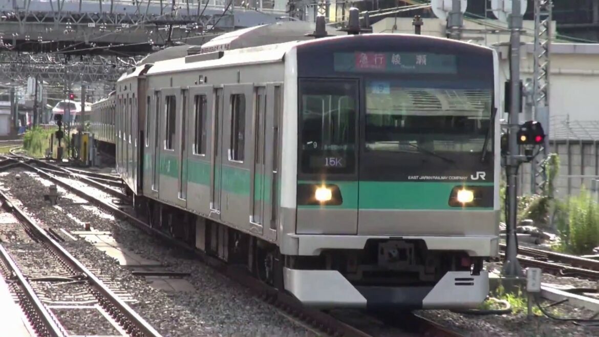 E233系2000番代乗入車小田急線内急行運転