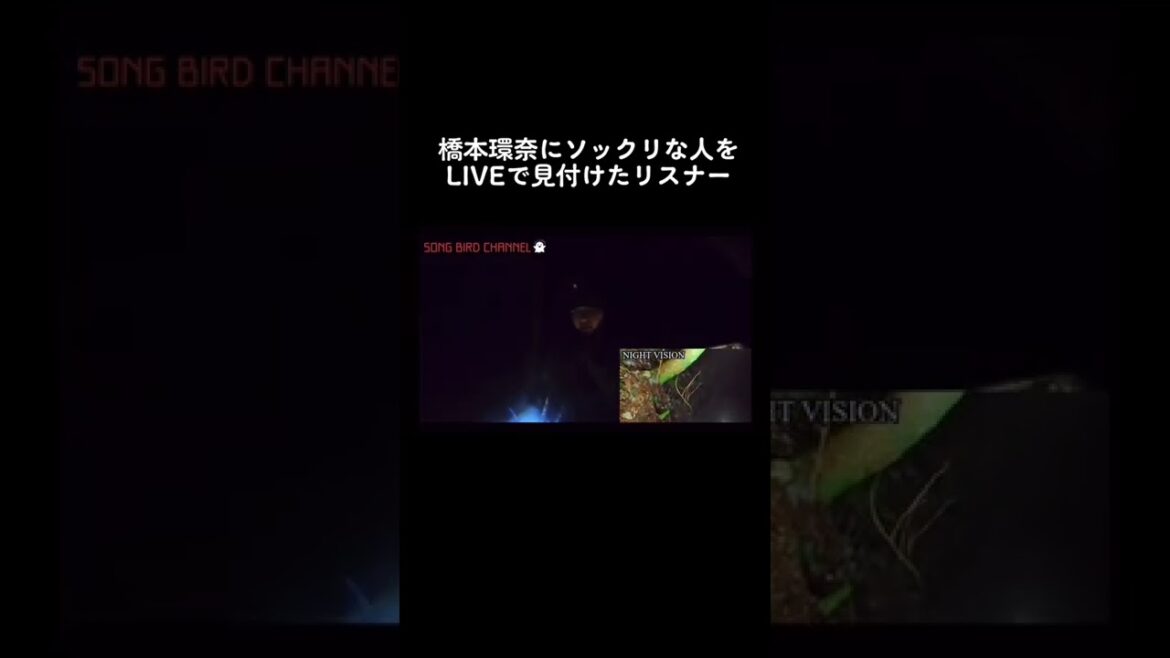 LIVE中に橋本環奈を見つけたリスナー