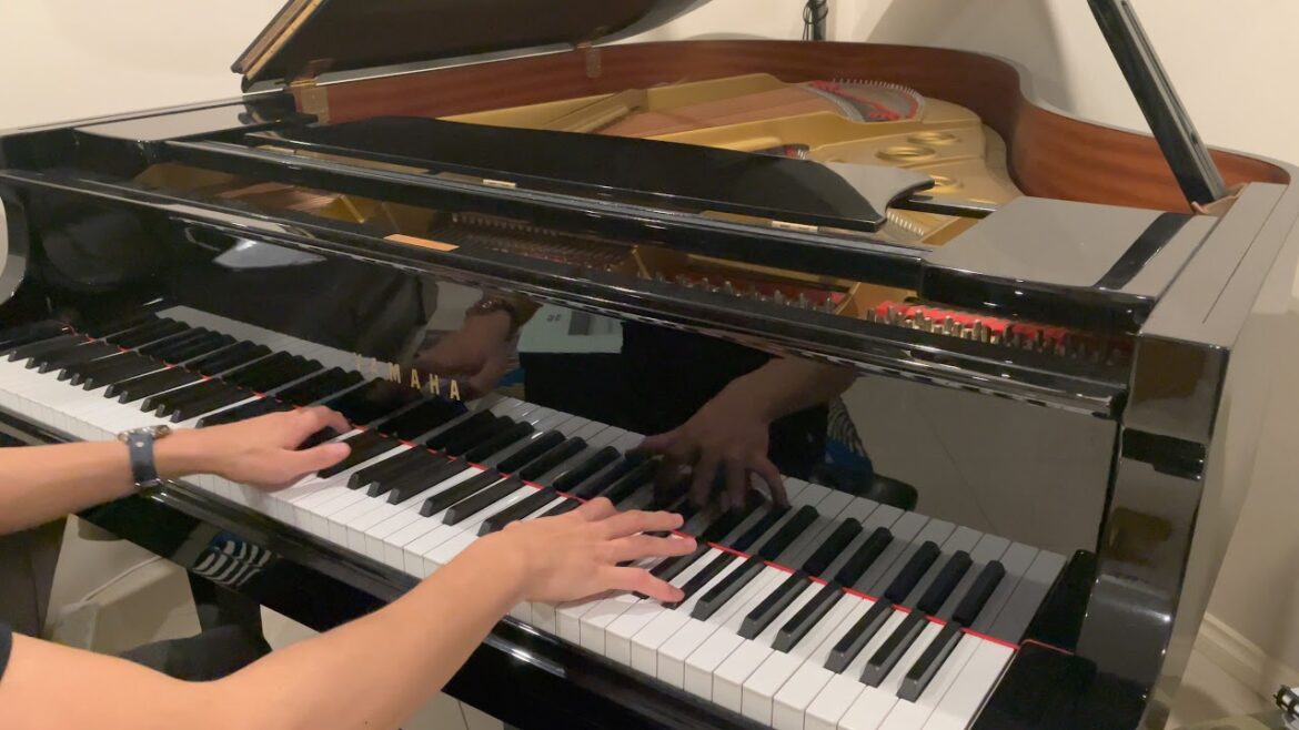 Tabi no Tochuu [旅の途中]- Spice and Wolf 狼と香辛料 OP (Theishter arr.)
