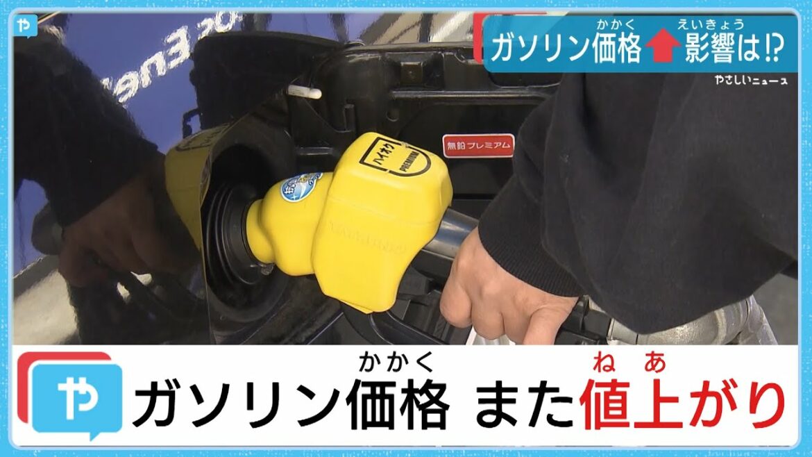 コロナ禍で打撃の観光業にもじわり…ガソリン価格高騰で影響は？