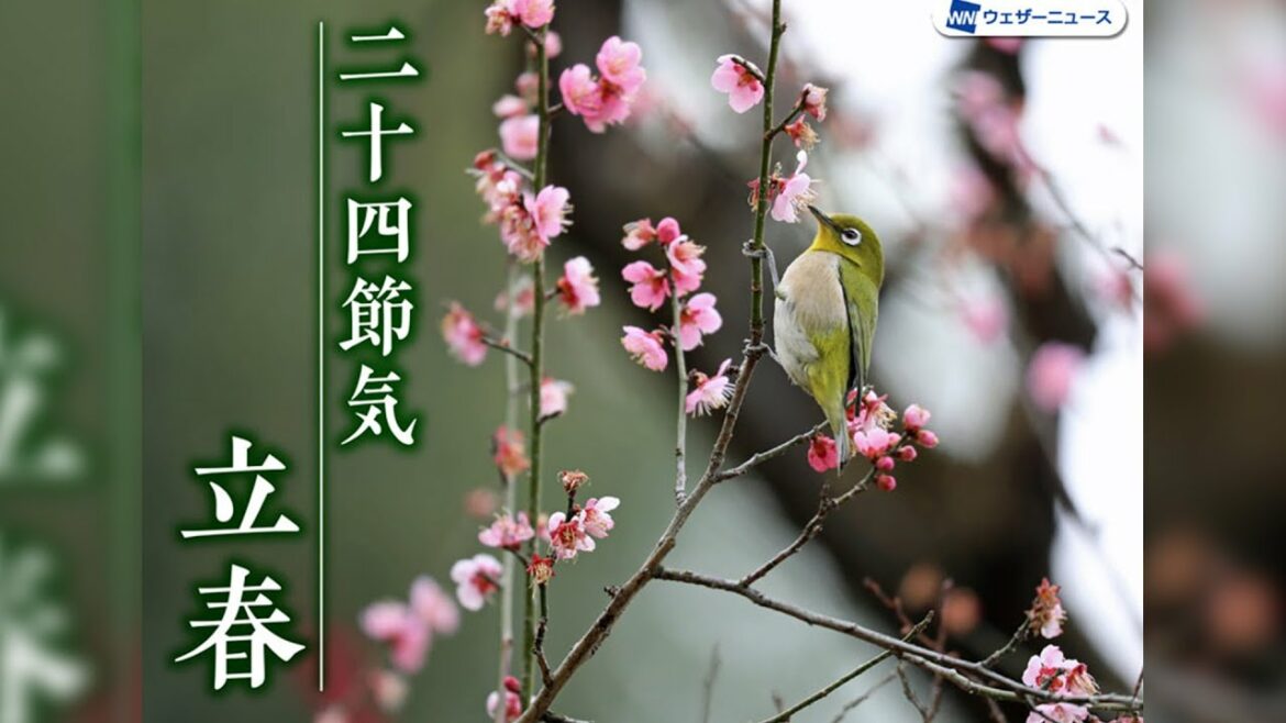 二十四節気「立春」 春が少しずつ感じられる「東風」 二十四節気「立春」 春が少しずつ感じられる「東風」