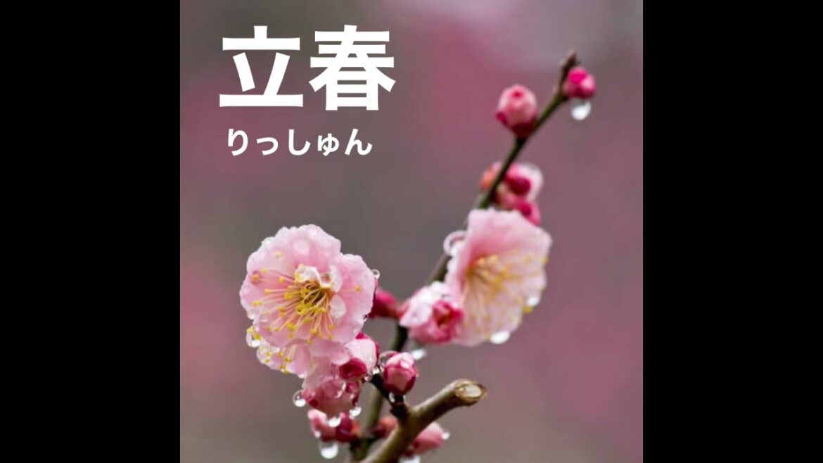 二十四節気のうた 二十四節気のうた