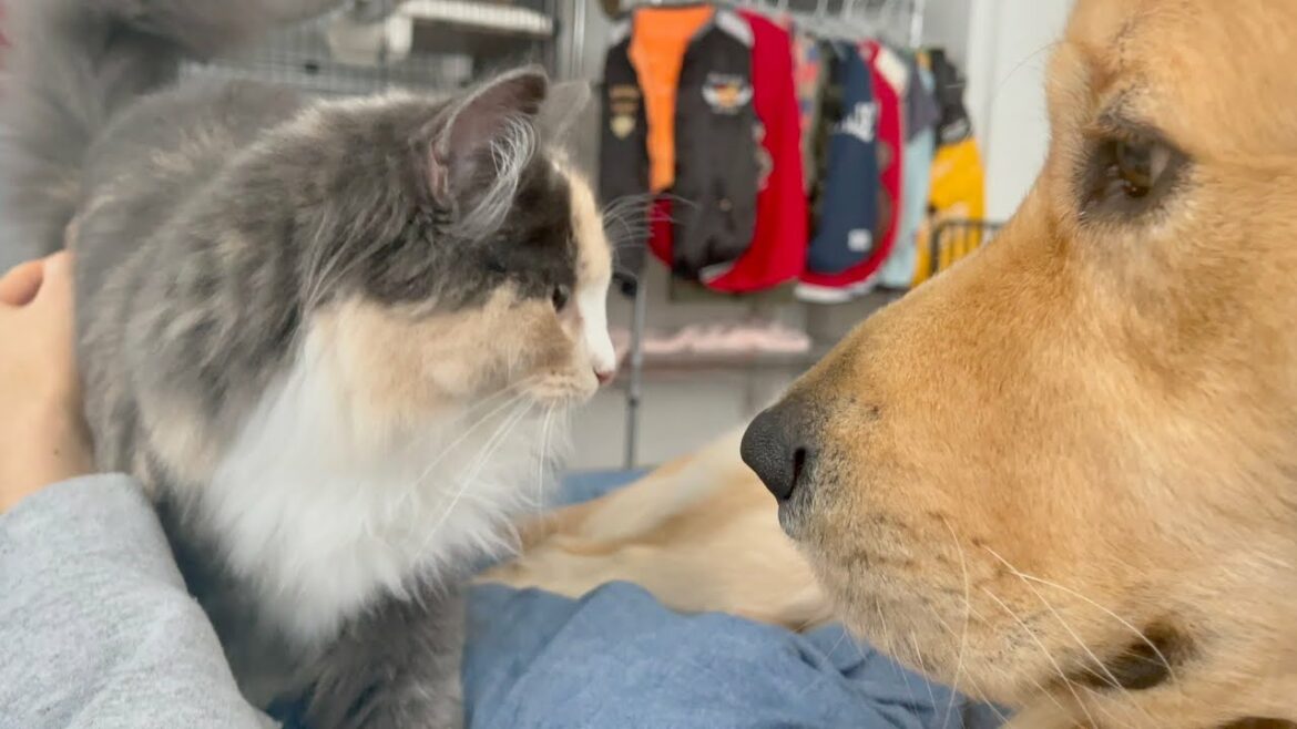 地震で飛び起きた！