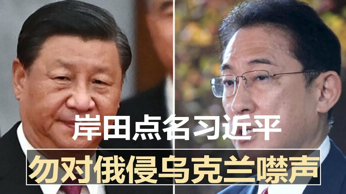岸田点名习近平：别对俄“侵略”乌克兰刻意噤声；俄直升机直入日本领空挑衅；美澳印日领导人急召会议警惕北京；岸田不正面回应台海危机；安倍重申与美核共享；日罕见供乌自卫队装备|日本新闻（20220304）