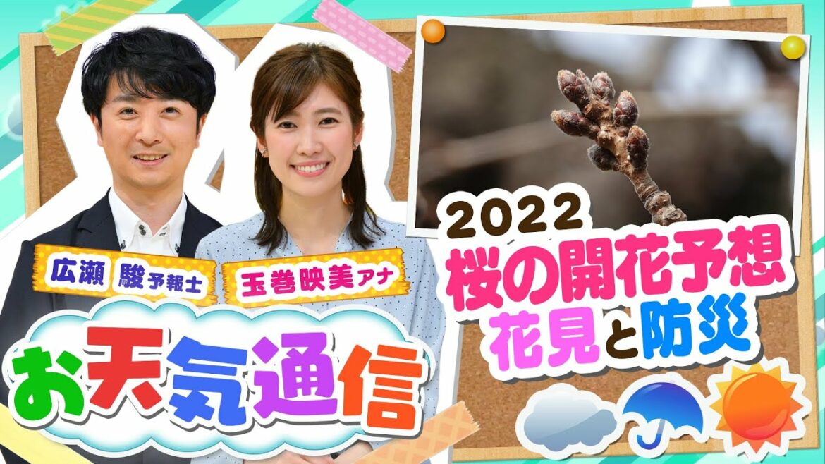 【お天気解説】今年の『桜』開花はいつ？最も早い場所は？桜の名所と防災には意外なつながりも…「気象予報士がテレビより少～し長く解説します！(2022年3月11日)