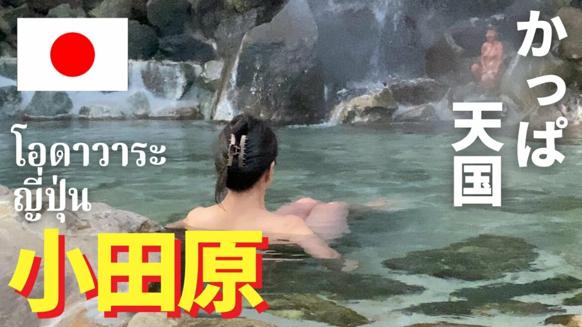 【かっぱ天国】小田原で温泉にはいりました / 東京メトロ➡小田急線