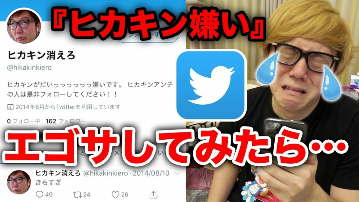 【エゴサ】ツイッターで『ヒカキン嫌い』で検索したら涙が…【エゴサーチ】【Twitter】