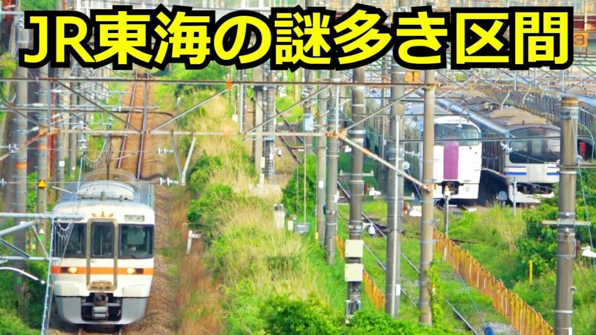 【カオスな区間】JR東海区間にあるJR東日本の車両基地を見学しました。