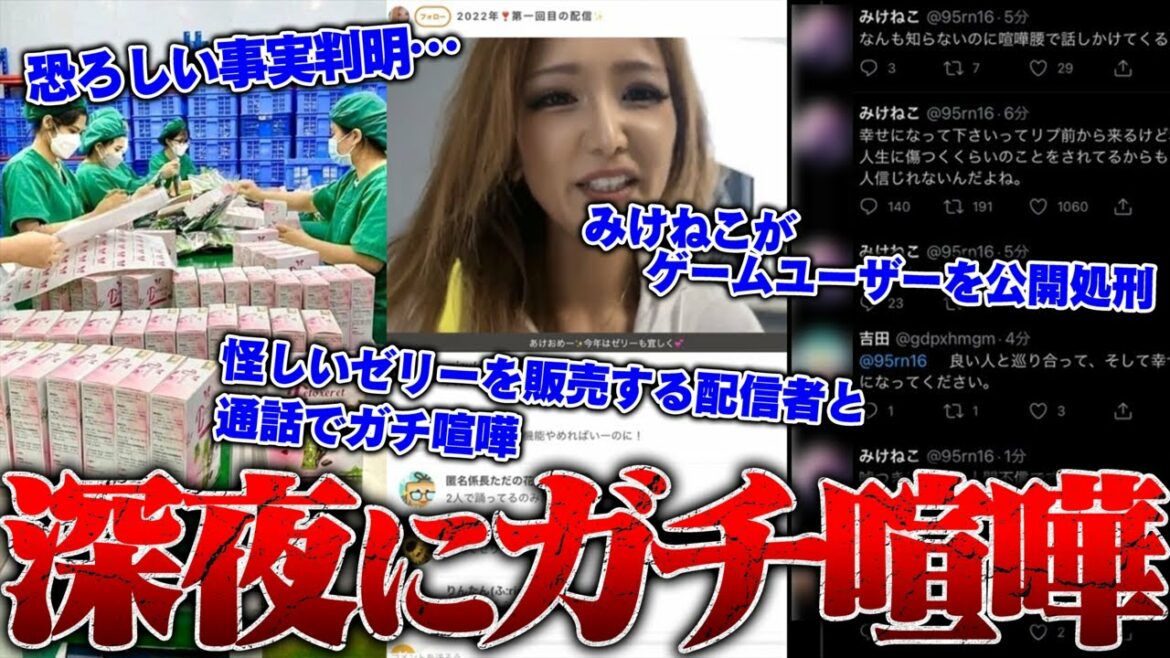 【ガチ喧嘩】怪しいゼリー？を紹介する配信者がやばすぎた…本人と話をしたら大喧嘩に発展…元「潤羽るしあ」のみけねこが一般人を公開処刑で炎上