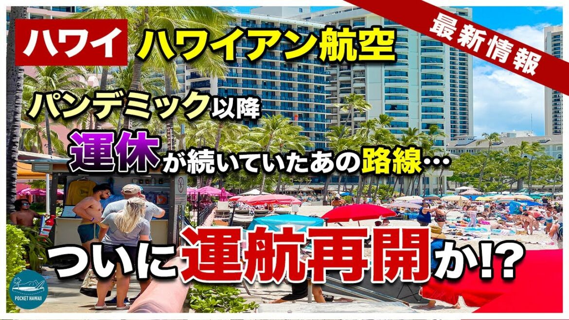 【ハワイ路線運航情報】ずっと運休続きだったハワイアン航空のあの地方発着路線がついに運航再開か！？【ポケハで学ぶハワイ語講座１７】【4K】