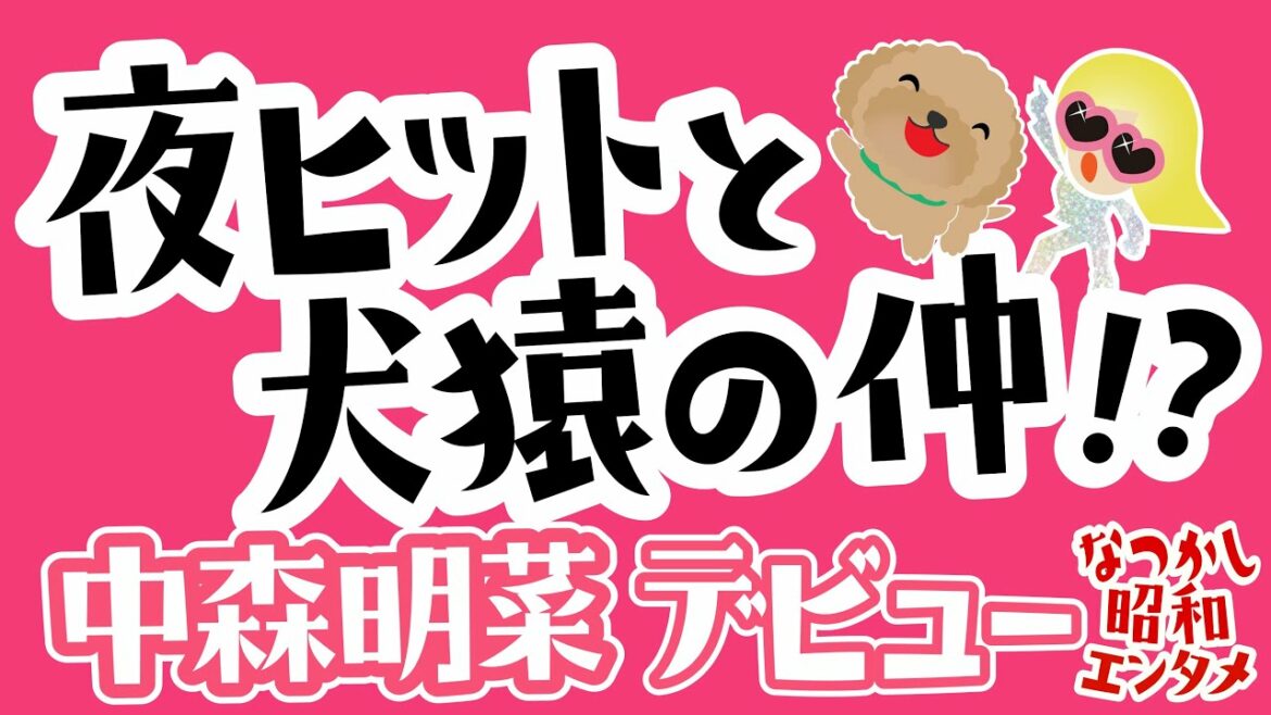 【中森明菜⑦】デビュー直後/夜ヒットと犬猿の仲/小泉今日子,早見優,石川秀美,堀ちえみは夜ヒット出演/松本隆にオファーした/グアムで水着/明菜新聞/伊集院静を作詞家に/積極的に起用したテレビ/昭和歌謡