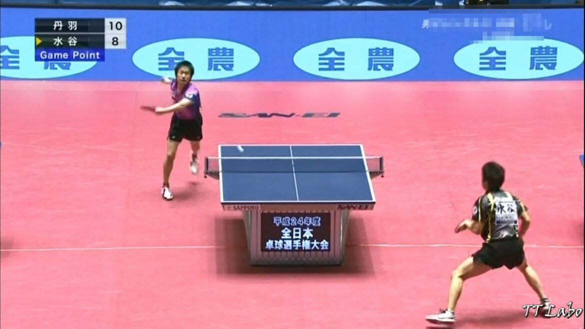 【卓球】 2013 全日本 決勝 丹羽孝希 vs 水谷隼　ハイライト